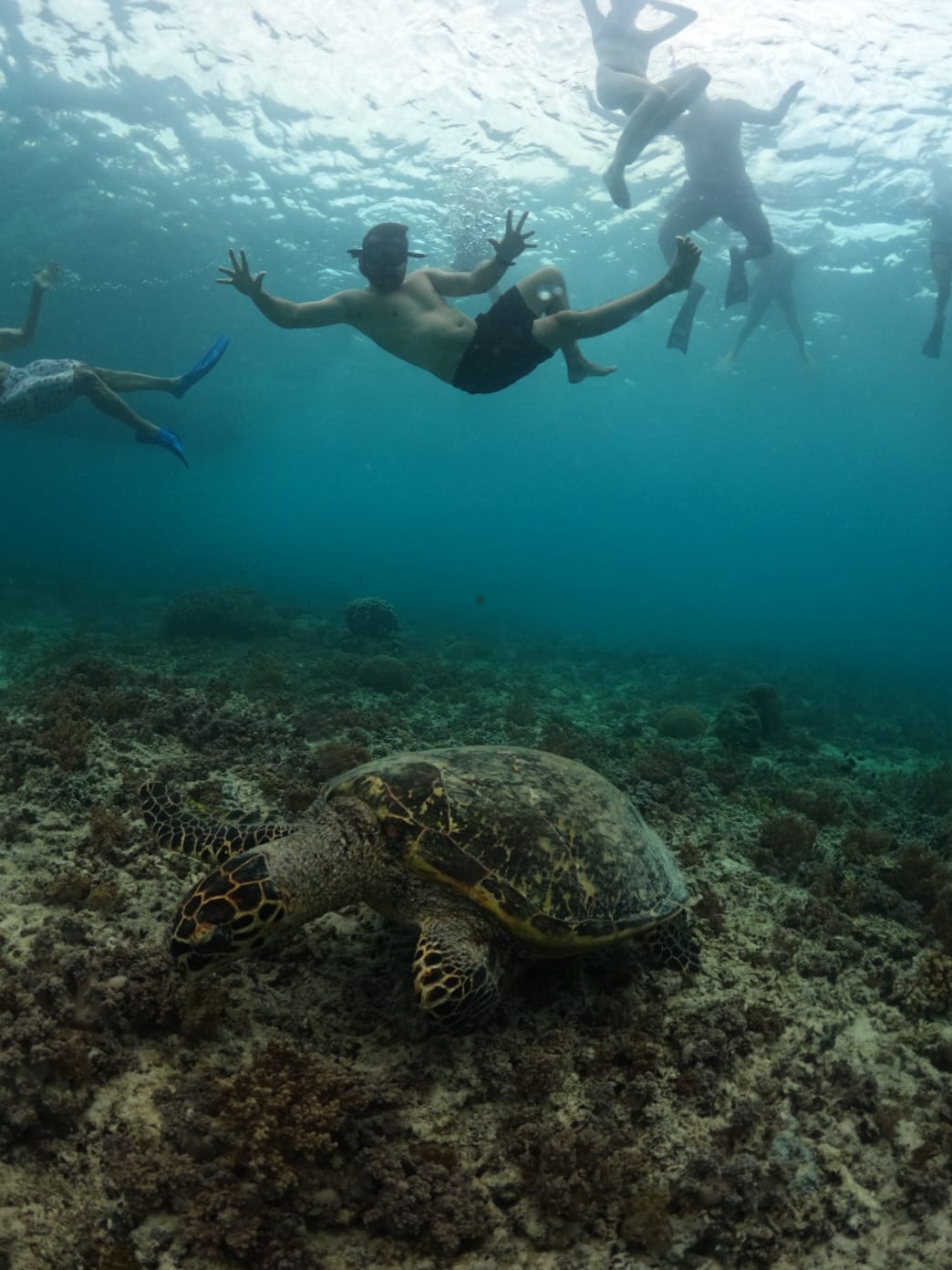 Sunset light filtering through surface water — Secret Spot — GiliGoTrip Snorkeling