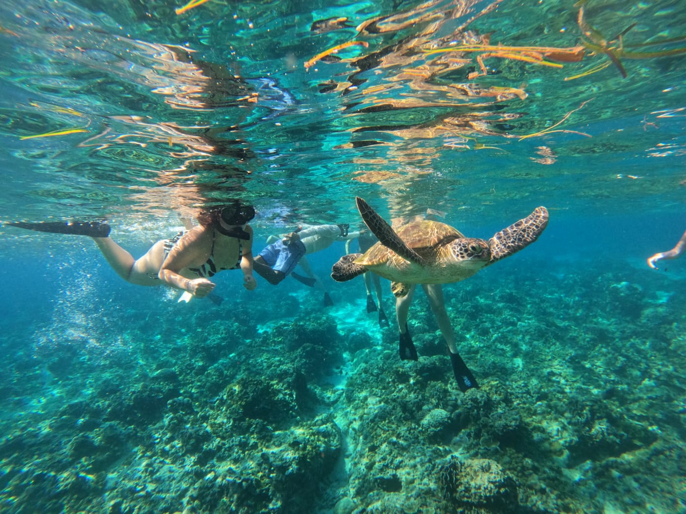 Wayan — GiliGoTrip Snorkeling guide — Gili Trawangan