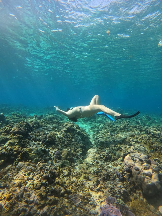 Joe — GiliGoTrip Snorkeling guide — Gili Trawangan