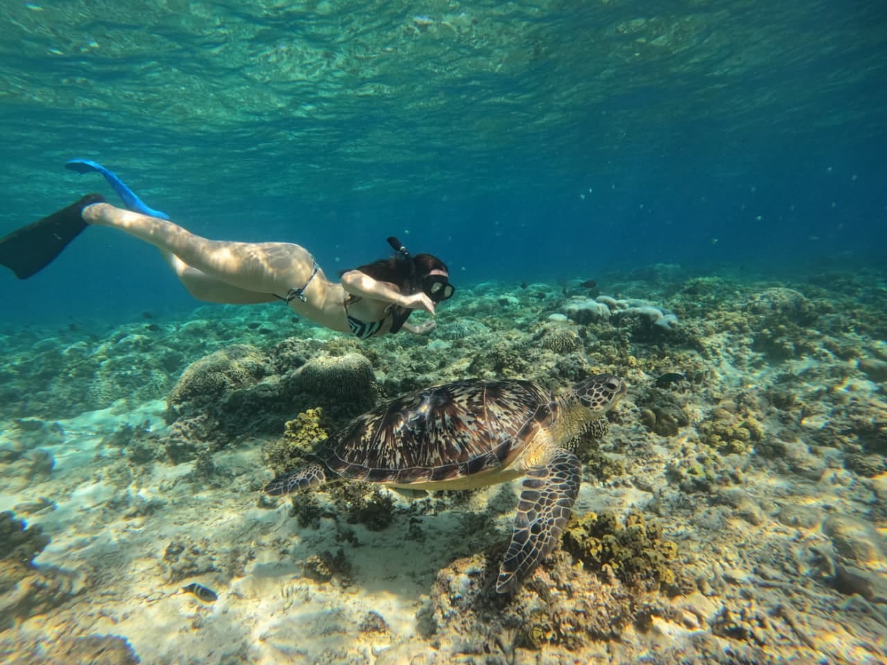 Three Islands Tour · 4h — Snorkeling trip on Gili Trawangan