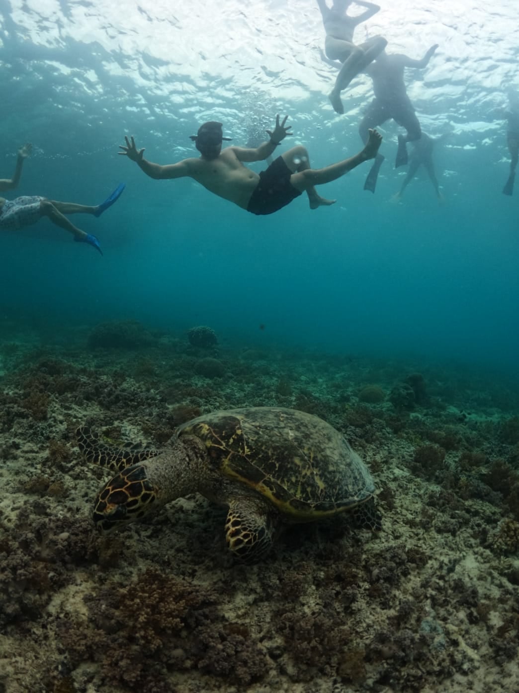 Sunset light filtering through surface water — Secret Spot — GiliGoTrip Snorkeling